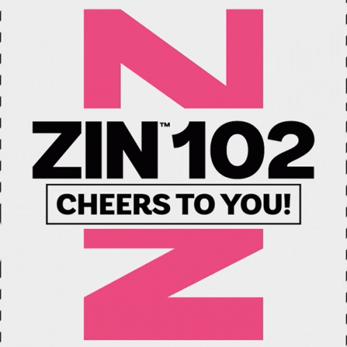 [Hot Sale]2022 New Dance Courses ZIN ZUMBA 102 HD DVD+CD