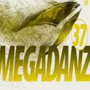 Radical Fitness MEGADANZ 37 Master Class + Music CD