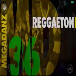 Radical Fitness MEGADANZ 36 Master Class + Music CD